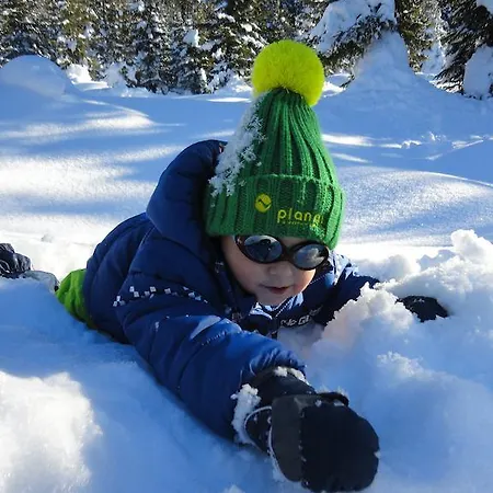 Haus Bergliebe דירה שלאדמינג