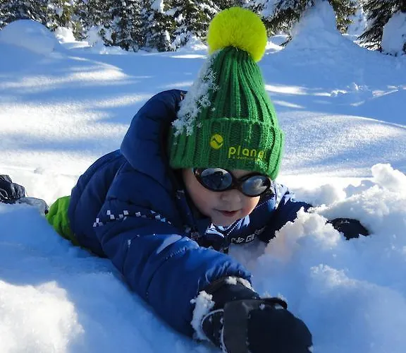 Haus Bergliebe 公寓 斯拉德明